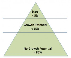 Partner Pyramid