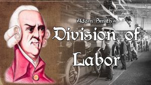 Division of labour