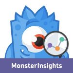 Monster Insights logo